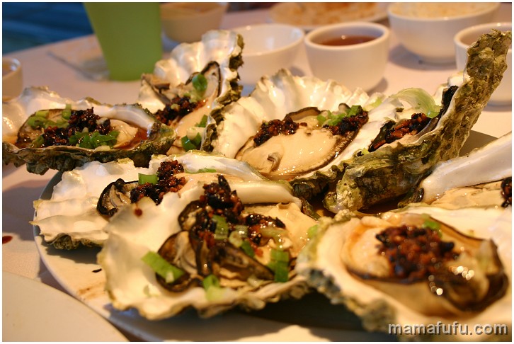 steamed oysters.JPG - toronto, canada
